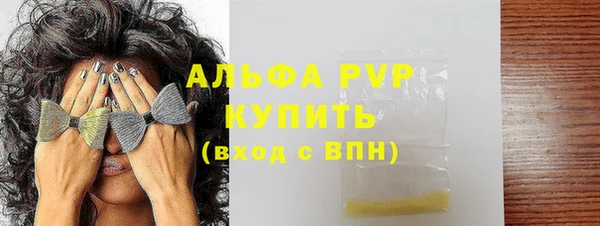 прущие грибы Елабуга