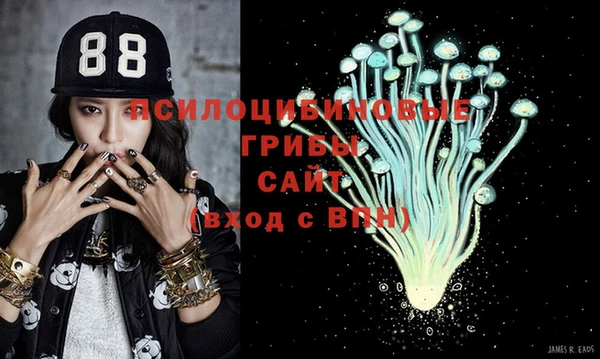 MDMA Premium VHQ Дмитриев